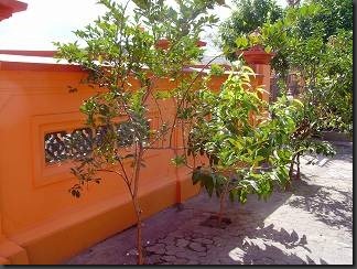 SANY0197 SANY0197