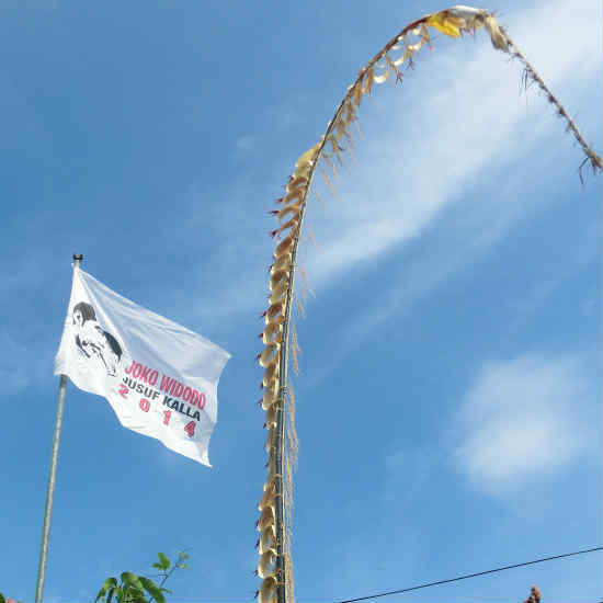 CIMG6845.jpg